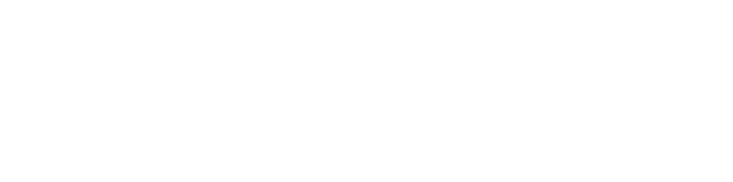 SparkNav Logo