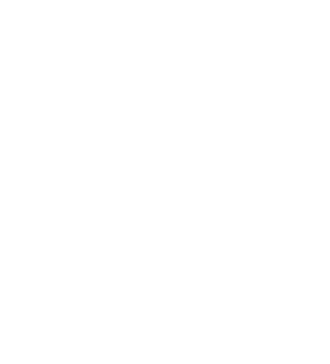 Insights